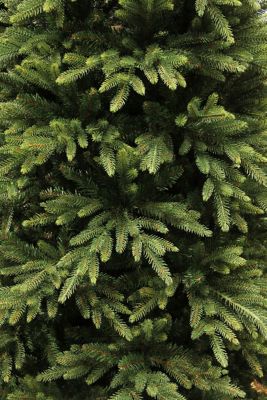 クリスマスツリー 155cm 楽天市場】【早期購入プレゼント付き！】先行予約10月中旬入荷
